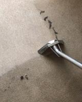 Wirral Carpet Cleaner image 3